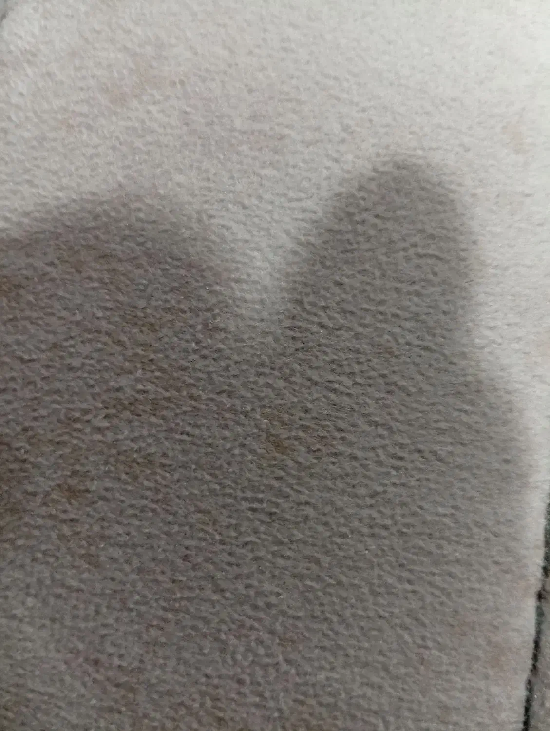 رهن و اجاره مغازه بلوار نواب صفوی|اجارهٔ مغازه و غرفه|شیراز, کوشک میدان|دیوار