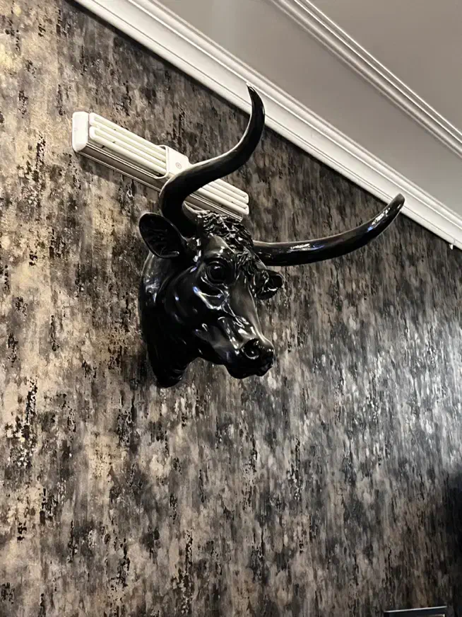 مجسمه پلی استر|مجسمه، تندیس، ماکت|یزد, |دیوار