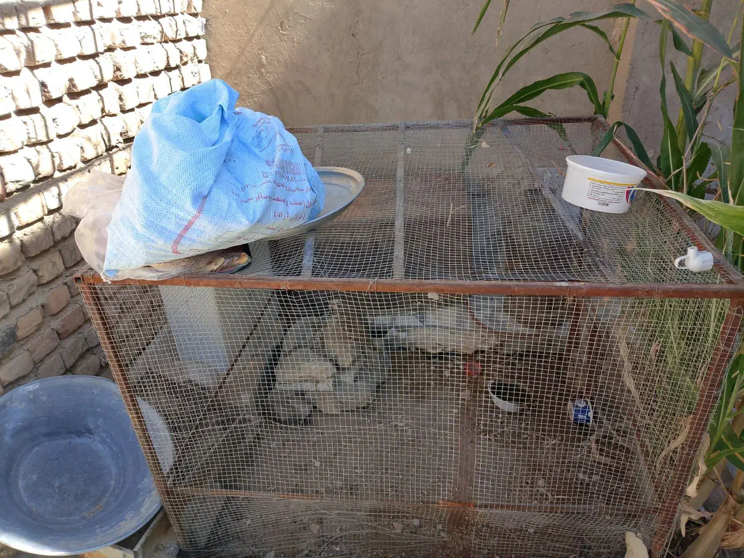 قفس بزرگ|لوازم جانبی حیوانات|خاش, |دیوار