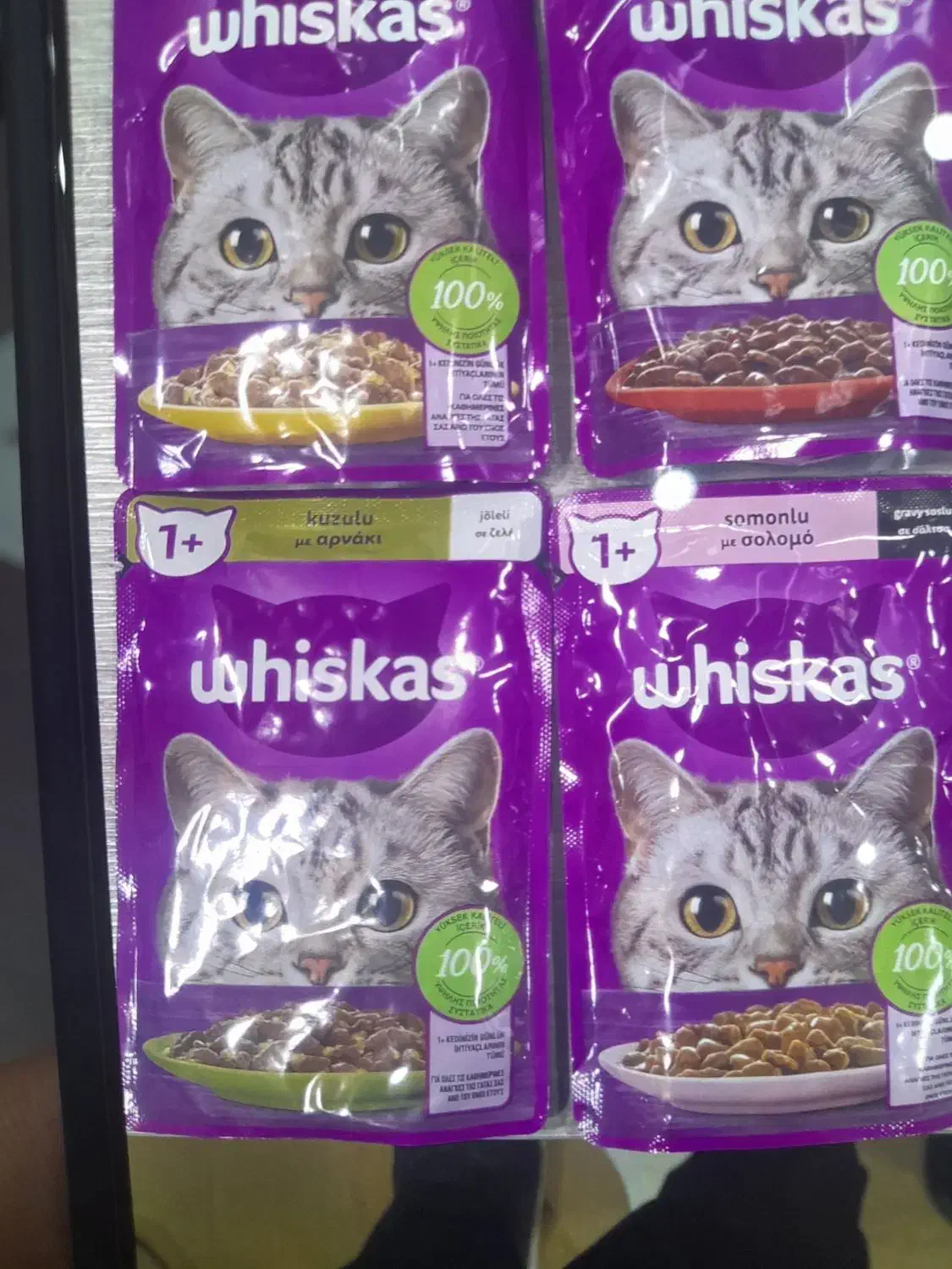 غذای گربه پوچ ویسکاس|لوازم جانبی حیوانات|حاجیلار, |دیوار