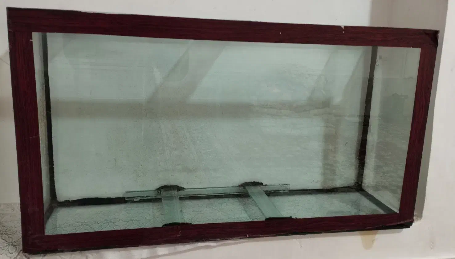 فروش اکواریوم|ماهی|جهرم, |دیوار