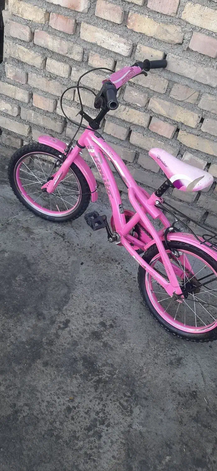 دوچرخه ۱۶ دخترانه بونیتو در حد نو|دوچرخه، اسکیت، اسکوتر|بیجار, |دیوار