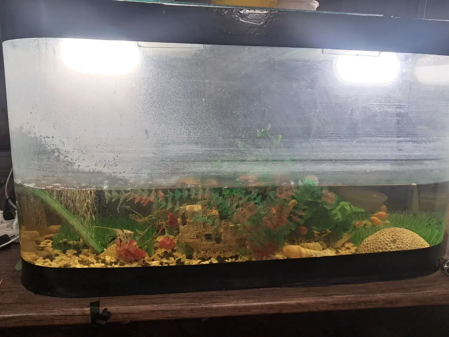 انواع آکواریوم|ماهی|نیشابور, مسکن مهر نور|دیوار