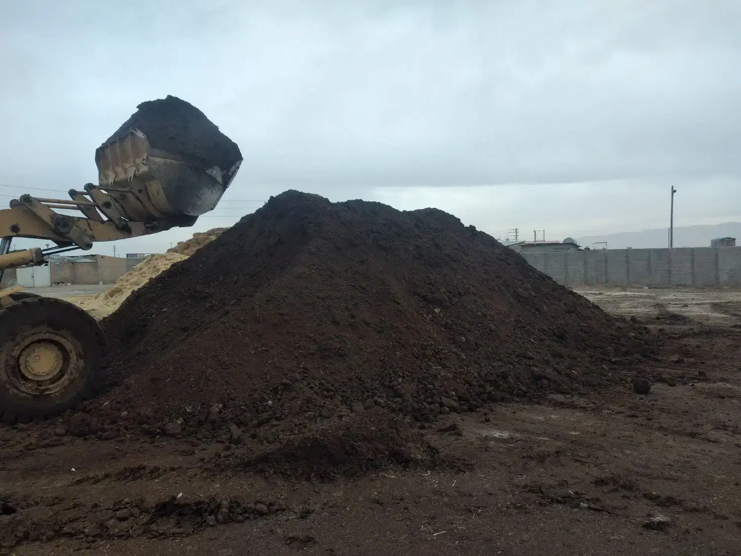 خرید و فروش کود حیوانی|خدمات باغبانی و درختکاری|نظرآباد, نجم آباد|دیوار