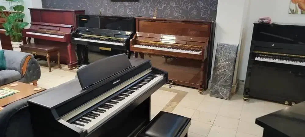 پیانو|پیانو، کیبورد، آکاردئون|کرج, برغان|دیوار