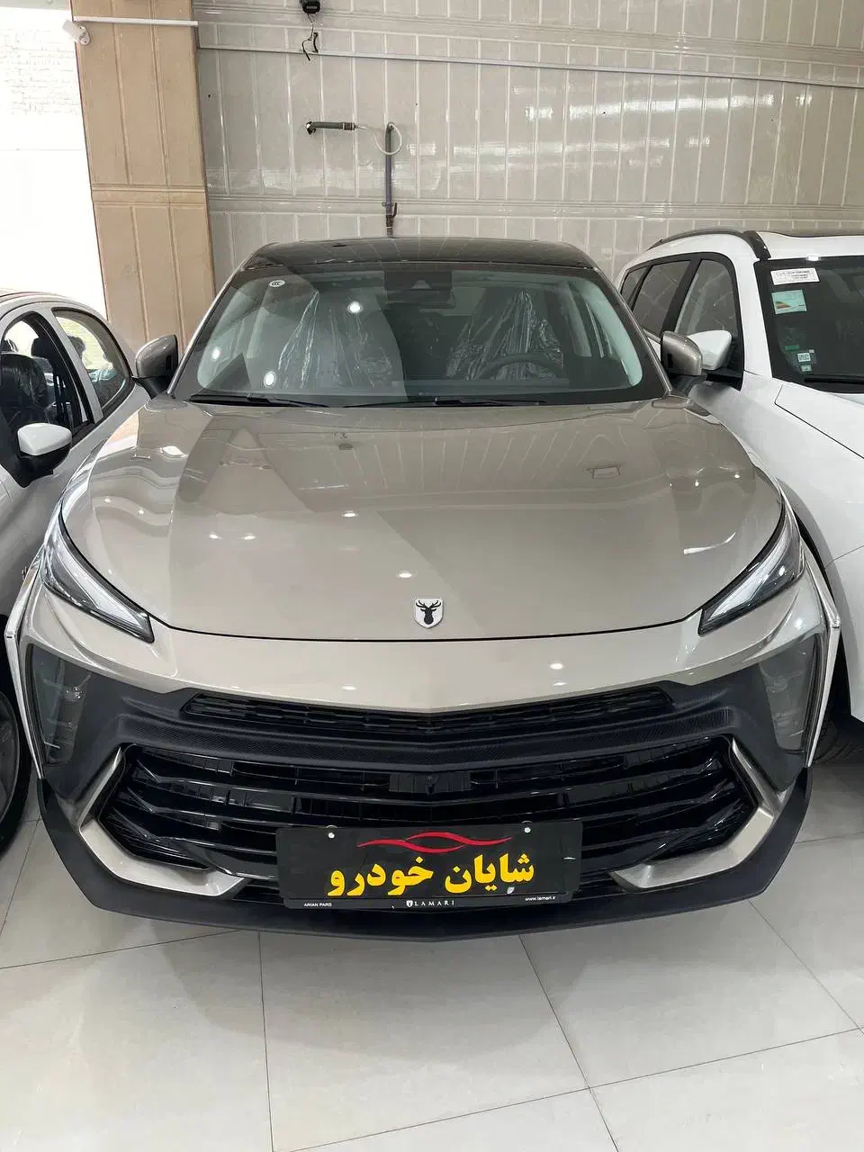 دیگنیتی و فیدلیتی / لاماری / هایما  تحویل آنی|خودرو سواری و وانت|کرج, مهرویلا جنوبی|دیوار