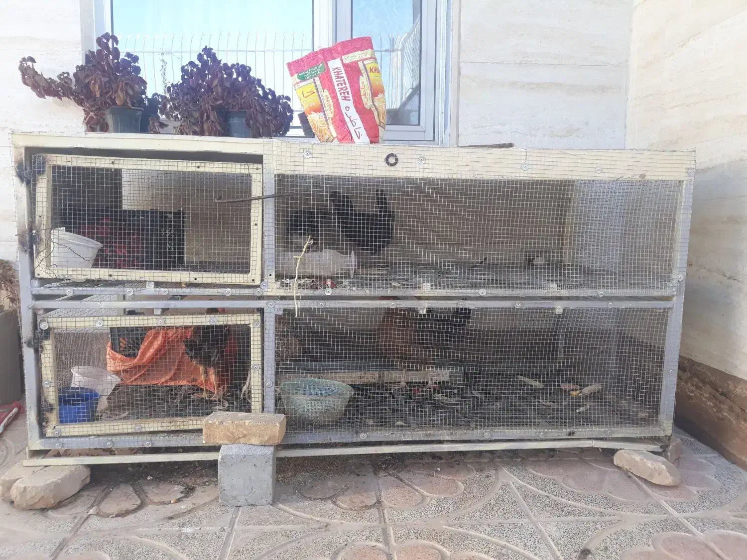 قفس مرغ|لوازم جانبی حیوانات|بروجن, |دیوار