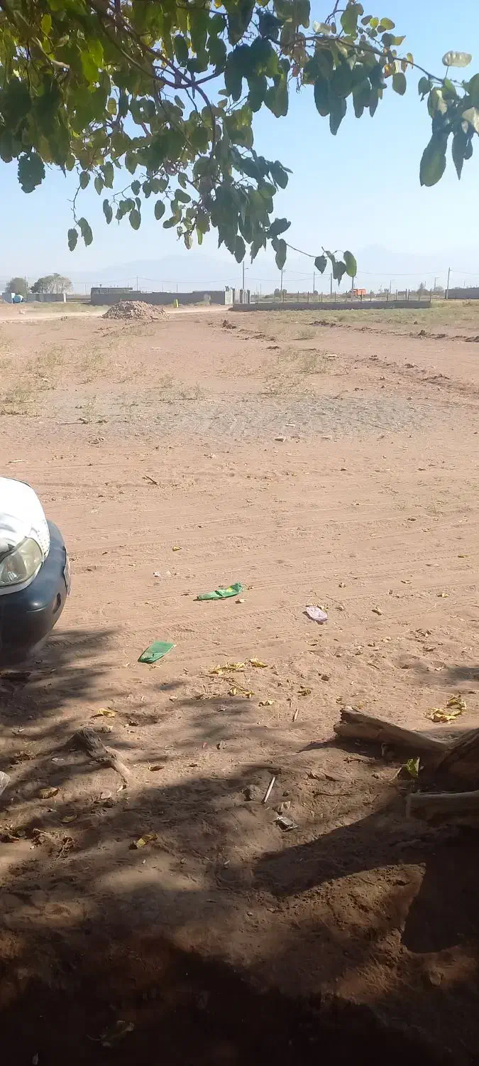 زمین|فروش دفتر صنعتی، کشاورزی، تجاری|کرمان, |دیوار