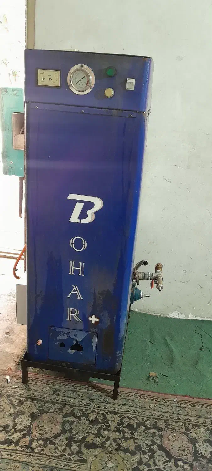 دیگ بخار اتو .ژانومه اصل ژاپن اتو سیلتر|اتو و لوازم اتو|شاهدشهر, |دیوار