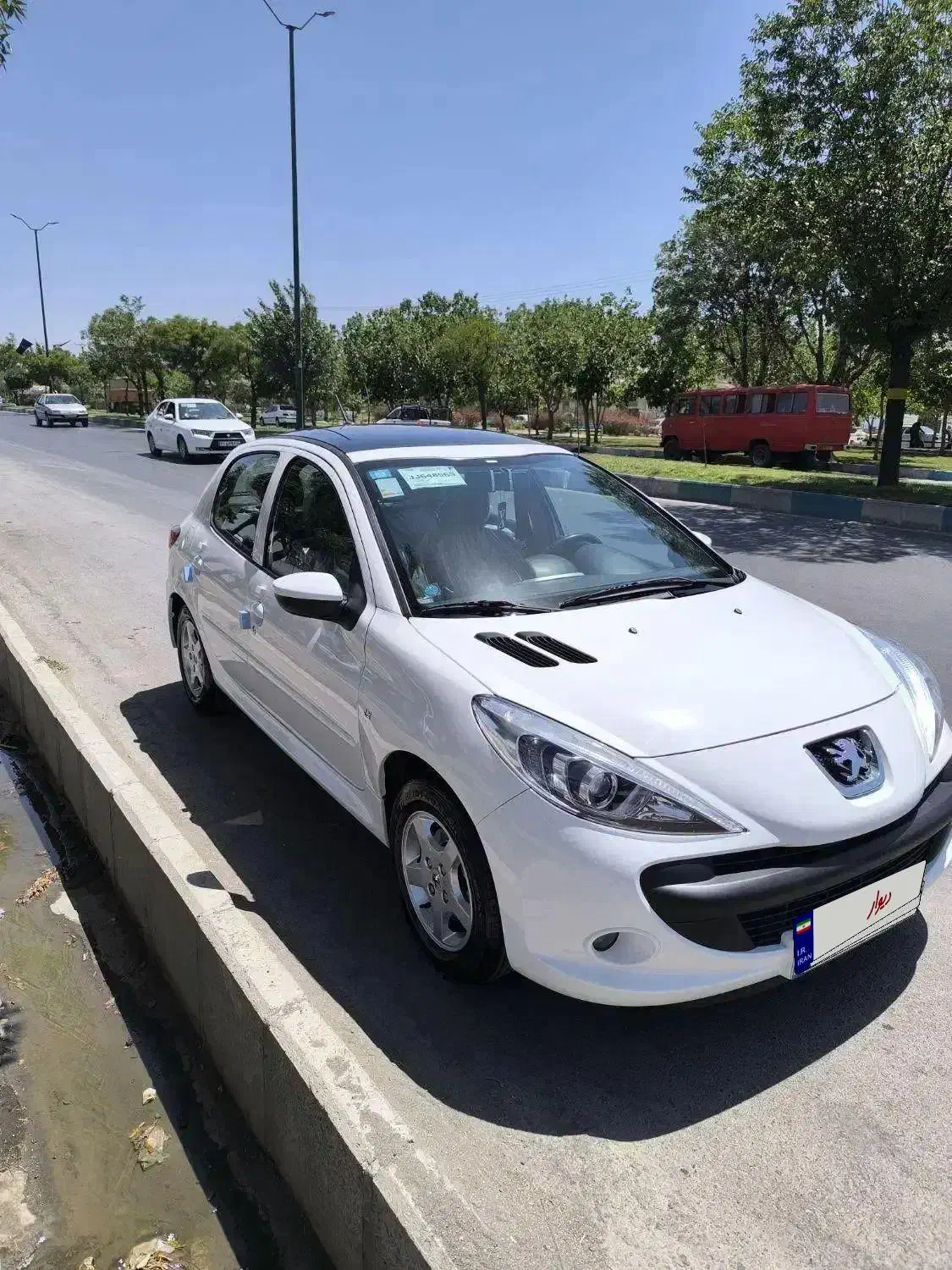 ۲۰۷ پانا ۴۰۲ بدون رنگ در حد خشک|خودرو سواری و وانت|همدان, |دیوار