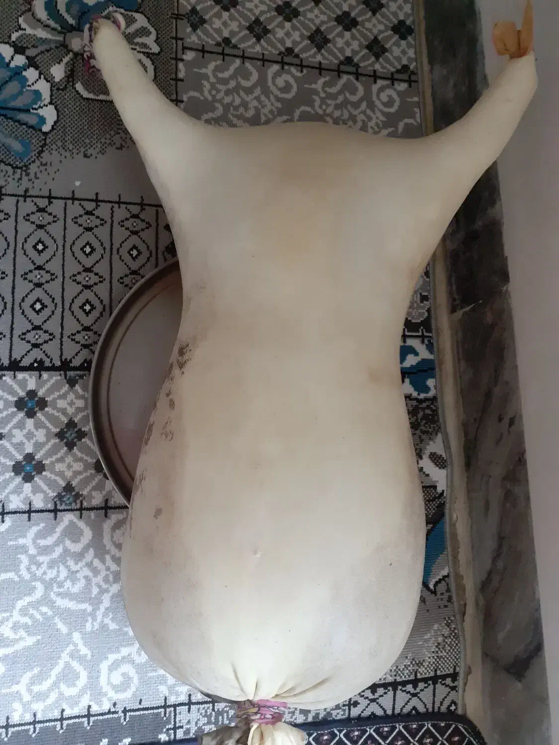 هیزه جا پنیر و شیراز (تجر)|ظروف نگهدارنده، پلاستیکی، یکبارمصرف|الشتر, |دیوار