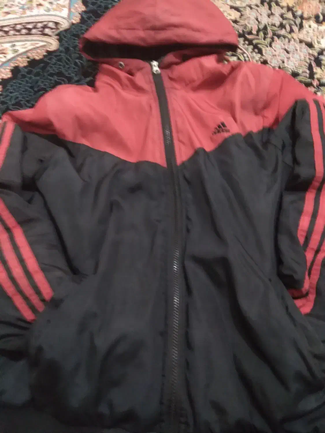 کاپشن سایز لارج|لباس|سنقر, |دیوار