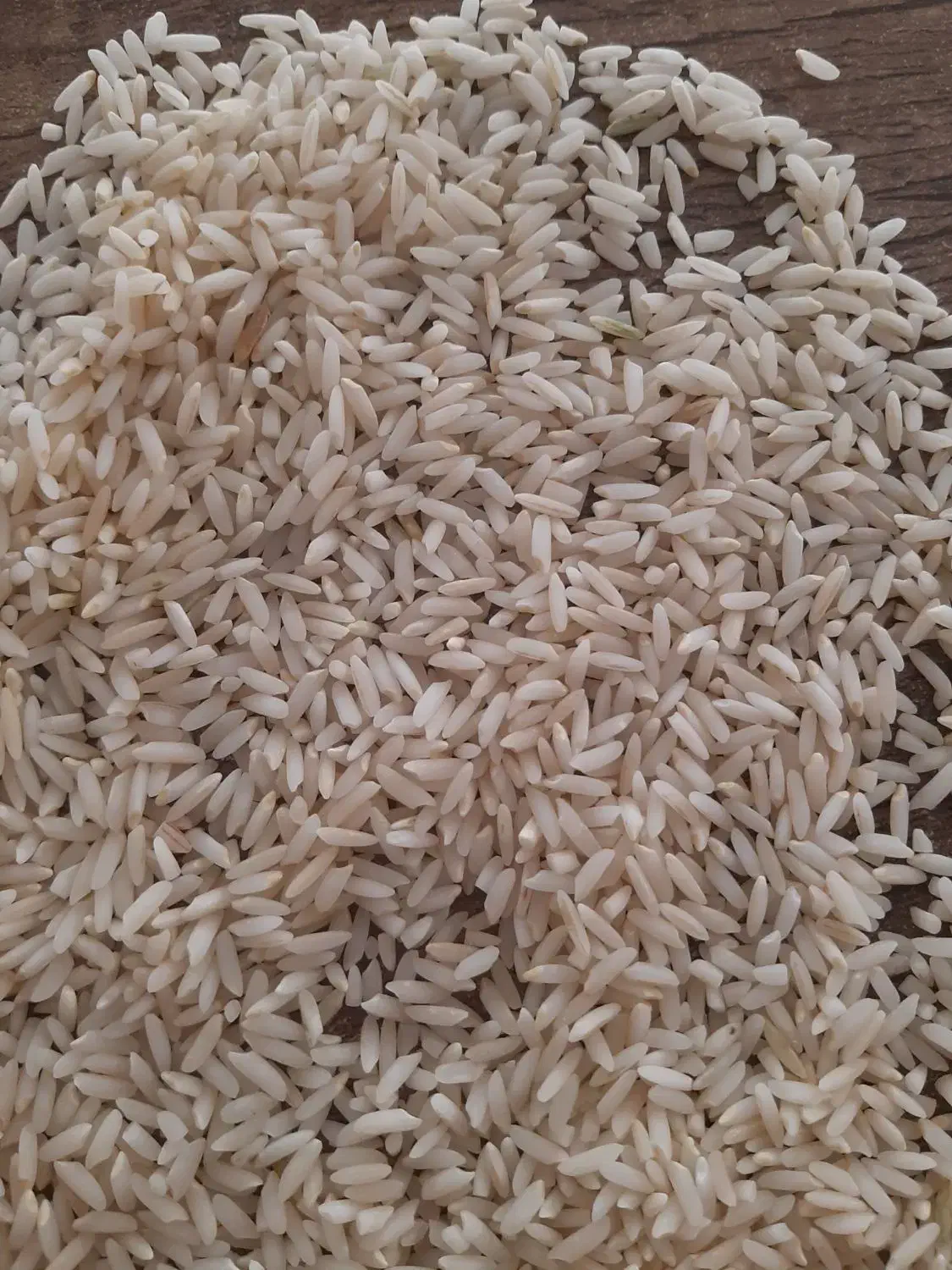 برنج درود امسال|خوردنی و آشامیدنی|گلپایگان, |دیوار