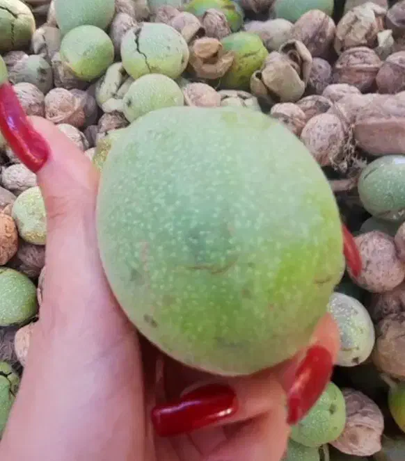 گردو|حراج|باقرشهر, |دیوار