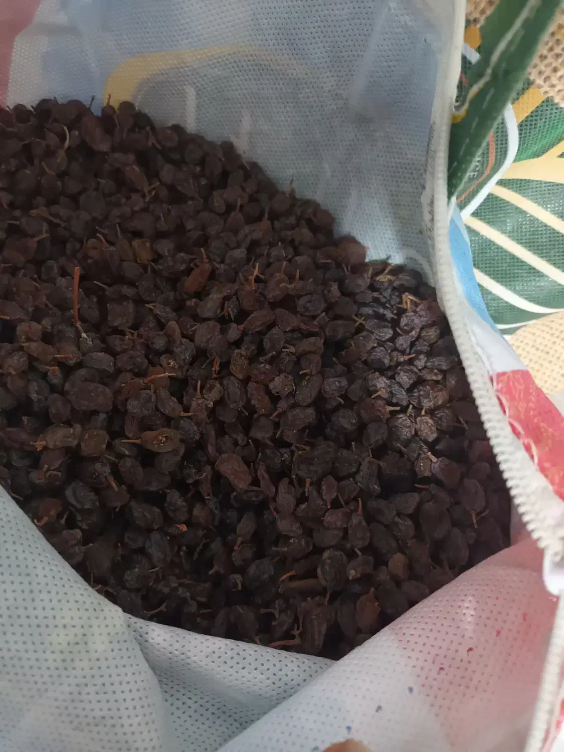 کشمش بیدانه افتابی|خوردنی و آشامیدنی|محمدیه-قزوین, |دیوار