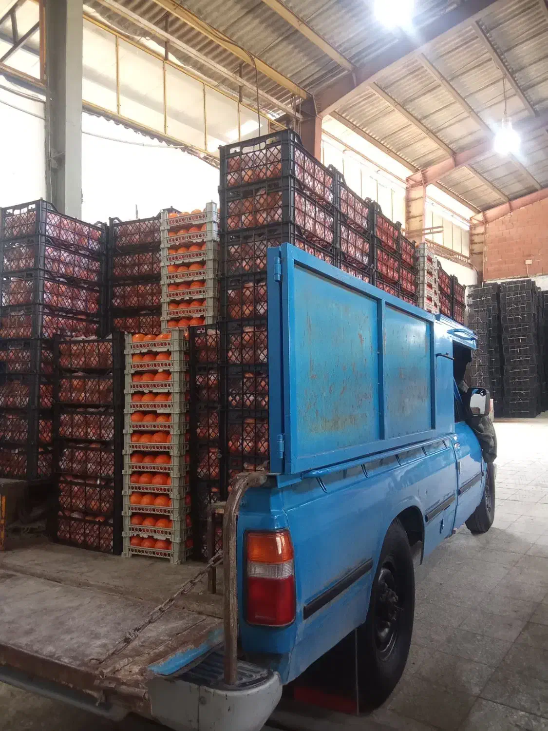 اسباب کشی وبابری،برون شهری|خدمات حمل و نقل|ایلام, |دیوار