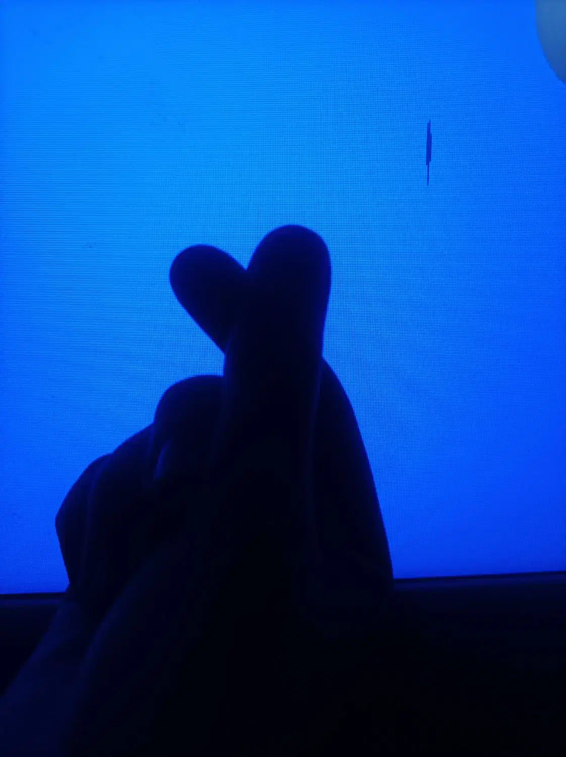 پلوپز برقی|اجاق گاز و لوازم برقی پختوپز|بم, |دیوار