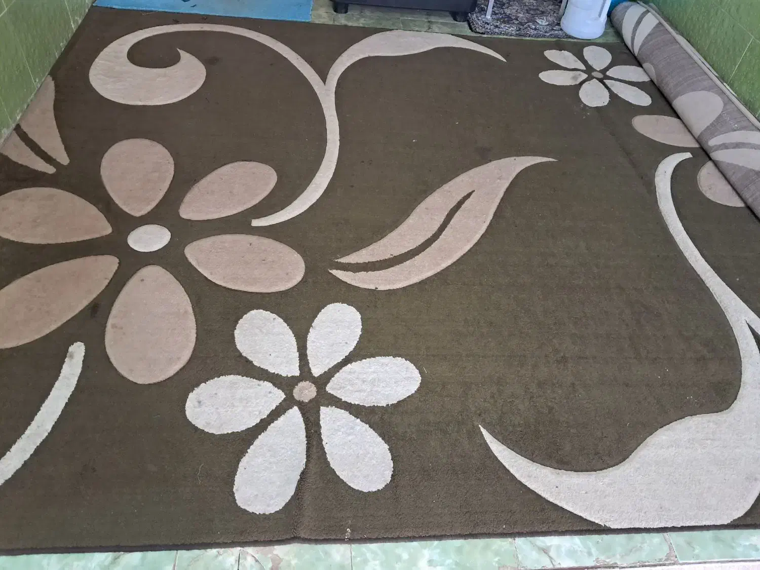 قالی طرح موکت|فرش|اهواز, دغاغله|دیوار