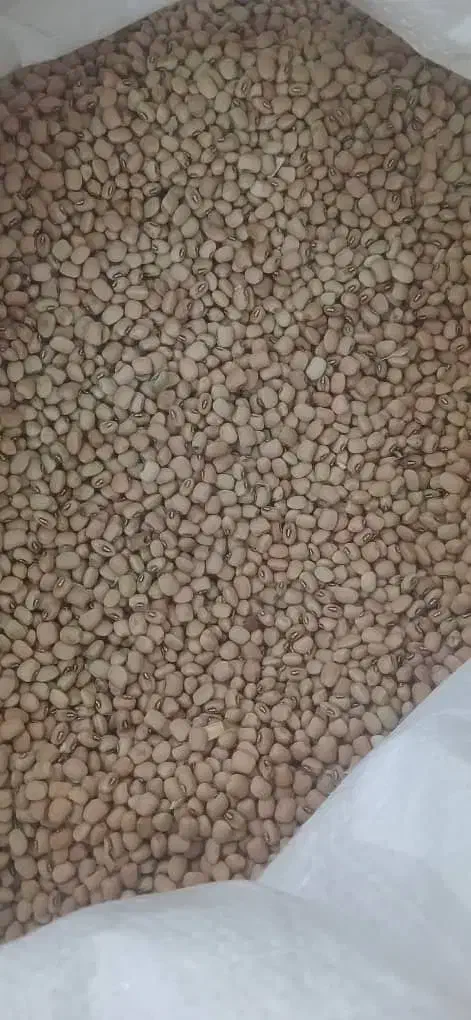 لوبیا کیلویی ۱۴۰|خوردنی و آشامیدنی|دره شهر, |دیوار