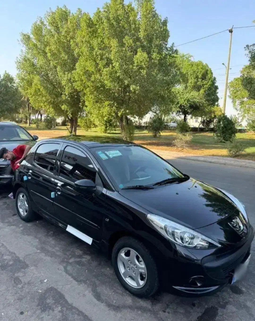 ۲۰۷ پانا ۱۴۰۴|خودرو سواری و وانت|اراک, |دیوار