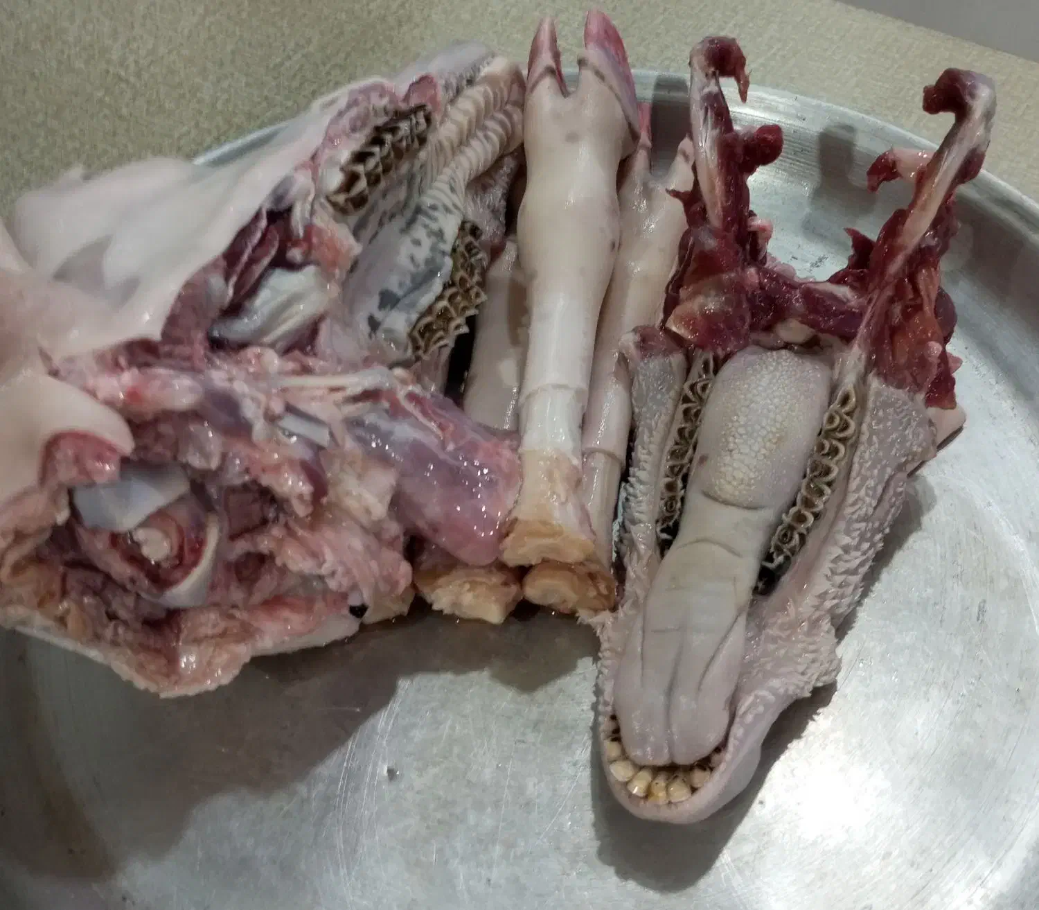 پاک کله پاچه|خدمات نظافت|خرم‌آباد, |دیوار