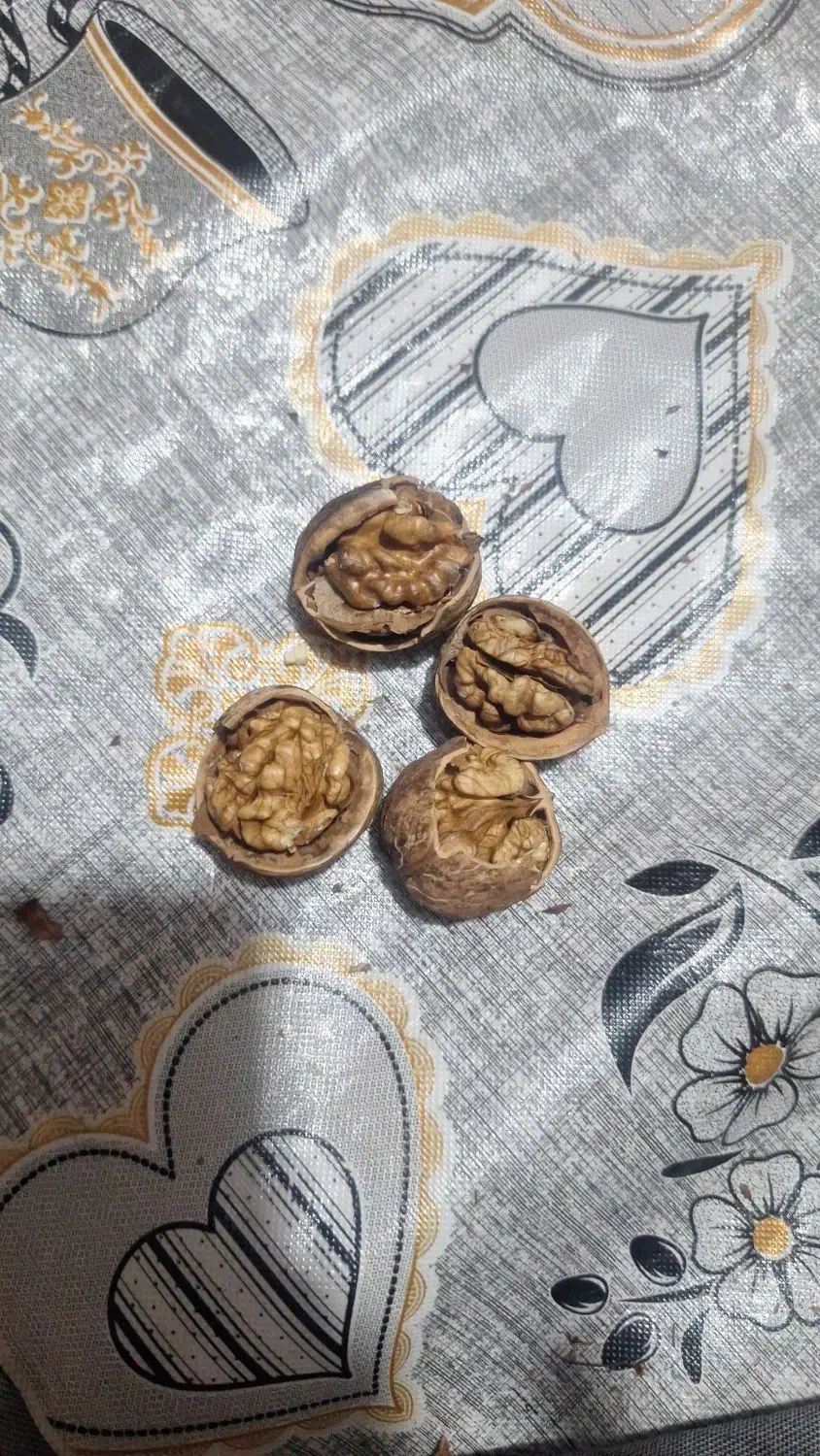 فروش گردو تویسرکان|خوردنی و آشامیدنی|پاکدشت, پاکدشت (مامازند)|دیوار