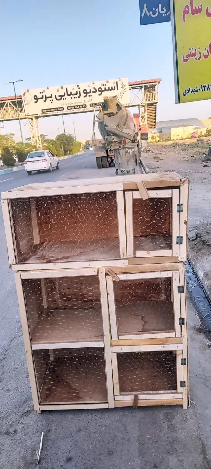 پرنده و جفت کن|پرنده|ساوه, |دیوار