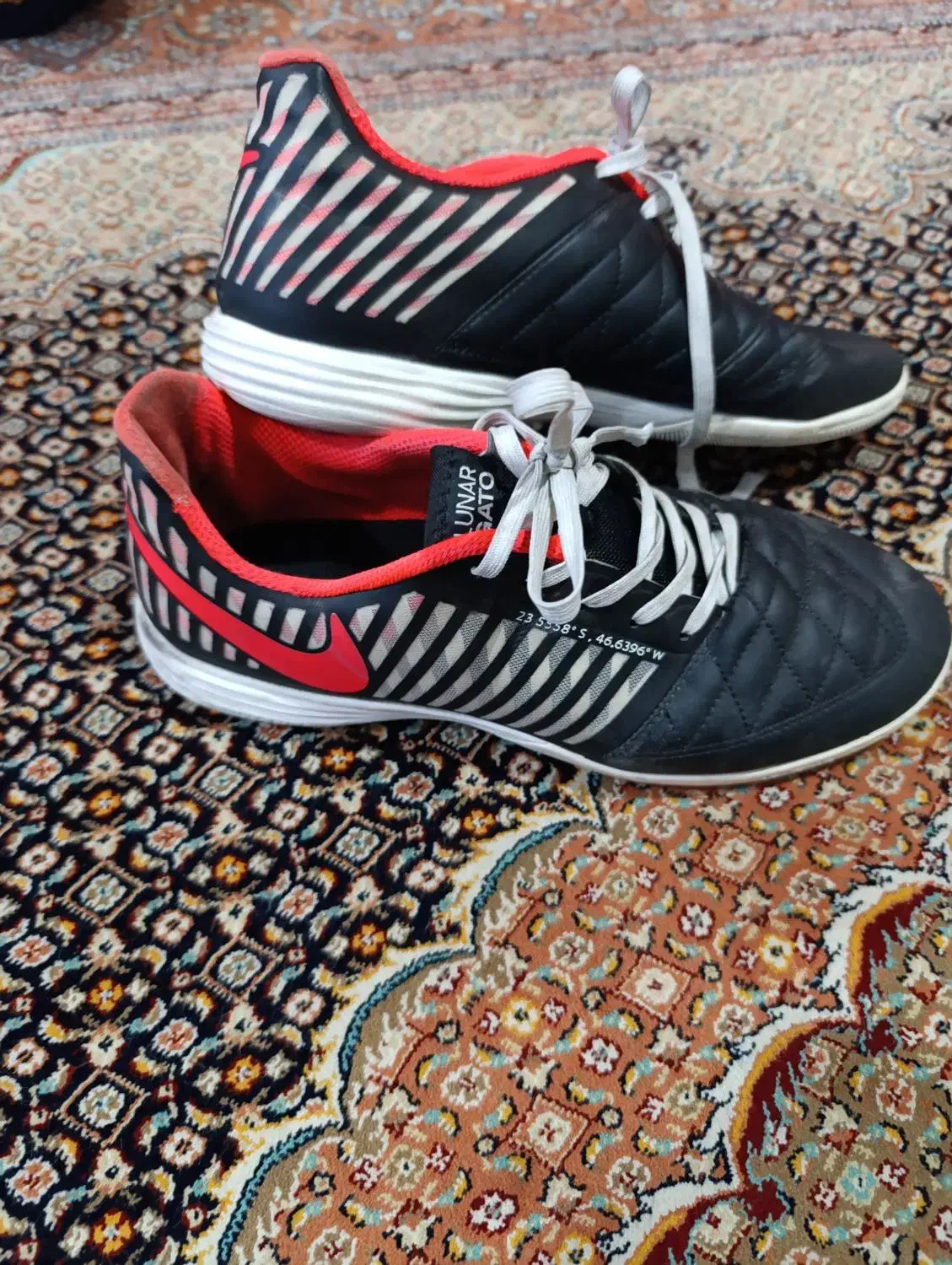 کفش فوتسال لونار گتو|کیف، کفش، کمربند|تبریز, |دیوار