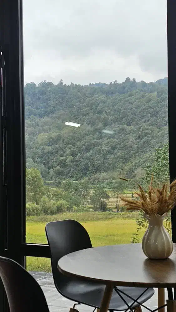 کلبه دنج و چوبی در دل جنگل های لفور|اجارهٔ کوتاهمدت ویلا و باغ|آلاشت, |دیوار