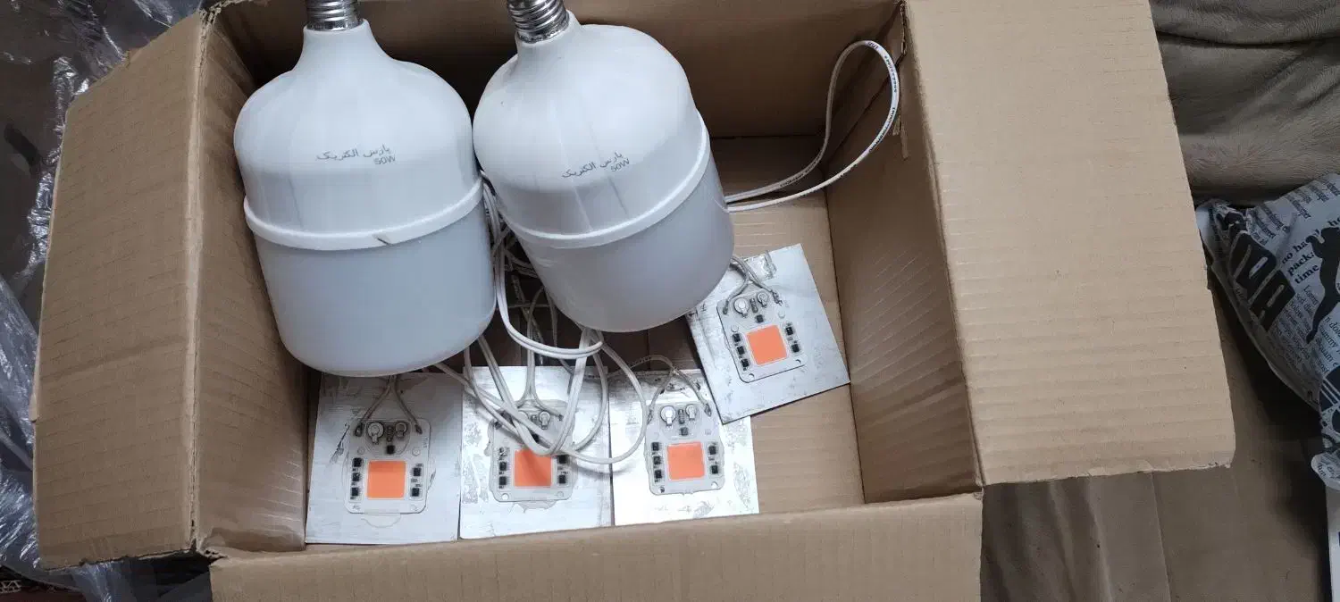 لامپ رشد گیاه|لامپ و چراغ|بجنورد, |دیوار