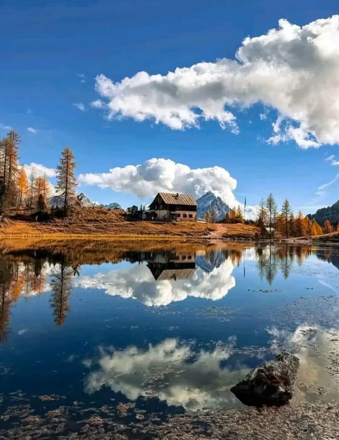 آموزش واجرای انواع تابلوهای مینیمال ورنگ روغن|تابلو، نقاشی، عکس|قم, حاج زینل|دیوار