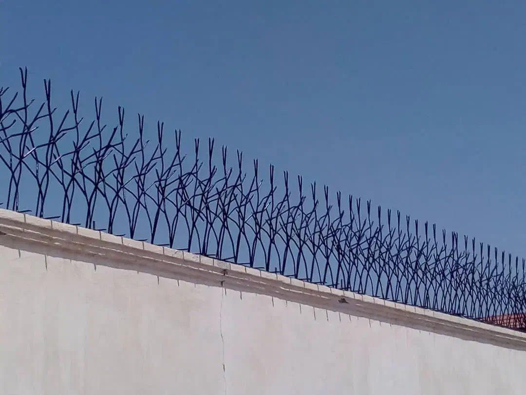 حفاظ شاخگوزنی|خدمات پیشه و مهارت|بوشهر, |دیوار