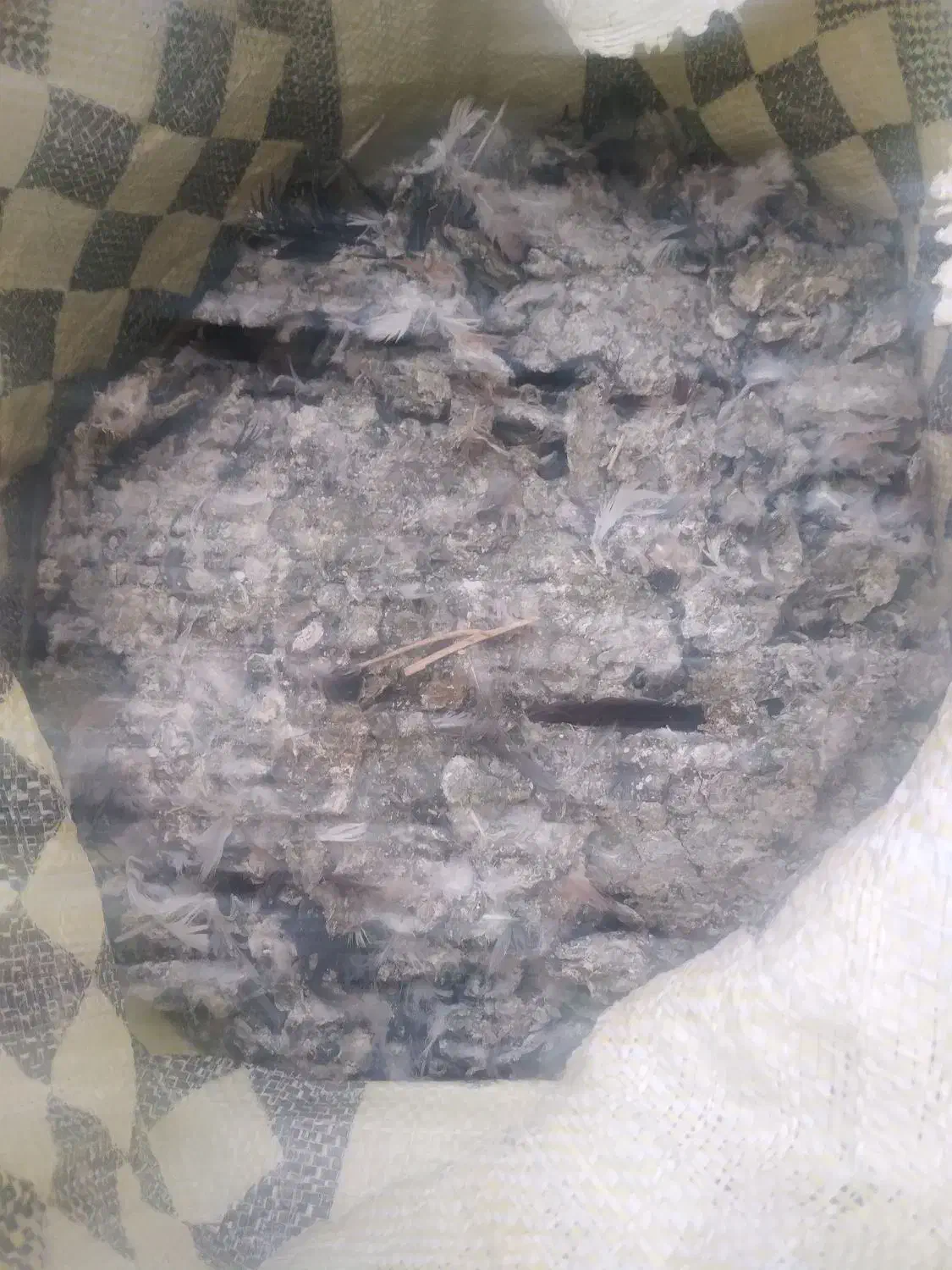 کود کبوتر|خدمات باغبانی و درختکاری|مراغه, |دیوار