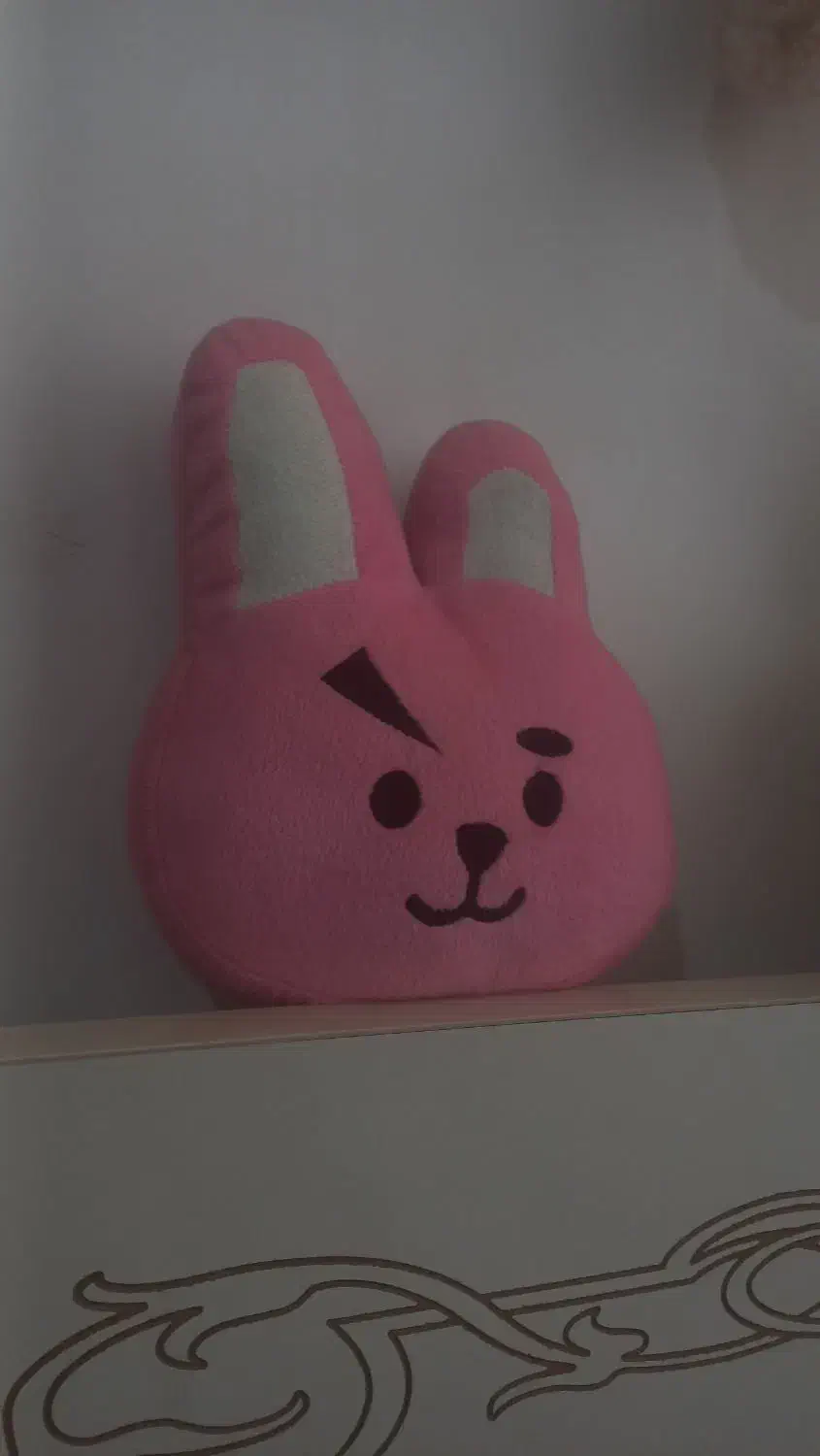 عروسک کوکی|اسباب‌‌بازی|اردبیل, |دیوار