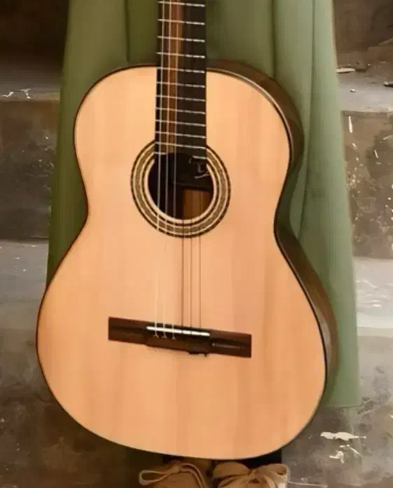 گیتار|گیتار، بیس، امپلیفایر|بوشهر, |دیوار