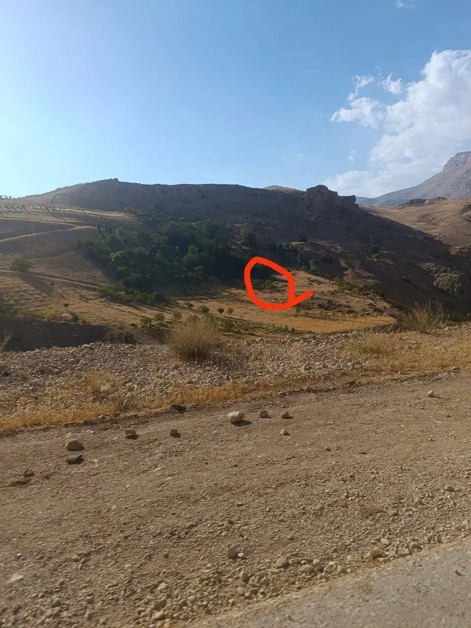 زمین کشاورزی باغ|فروش زمین و ملک کلنگی|صمصامی, |دیوار