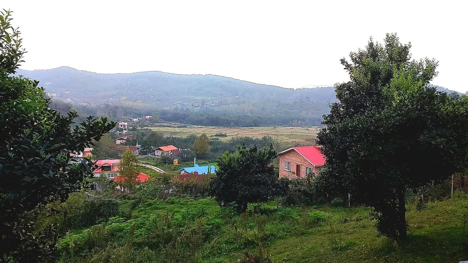 زمین مسکونی باغی ششصد متری توشی ویو ابدی|فروش زمین و ملک کلنگی|سیاهکل, |دیوار