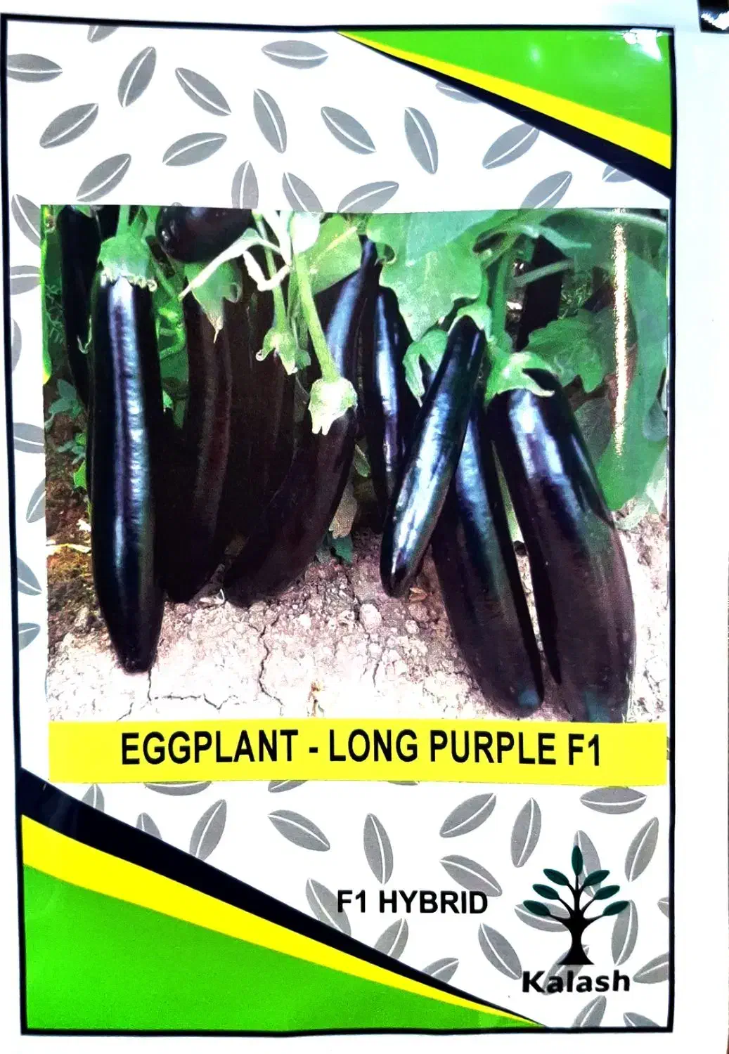 ((نشا))|گل و گیاه طبیعی|دزفول, |دیوار