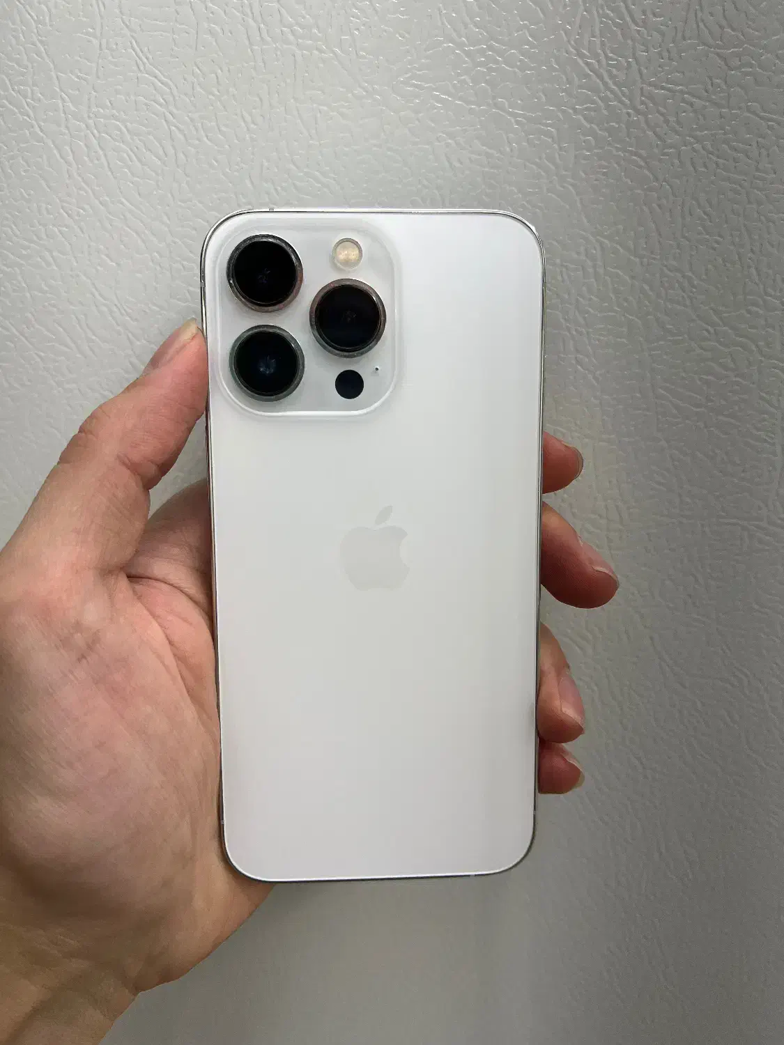 ۱۳پرو تک سیم|موبایل|تربتحیدریه, ۴۵ متری|دیوار