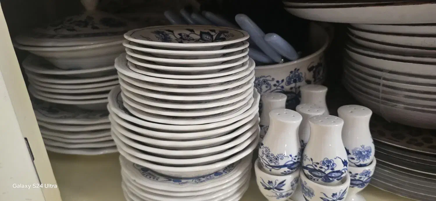 سرویس چینی قدیمی مار نیکو|کلکسیون اشیاء عتیقه|تهران, گلستان (شهرک راه آهن)|دیوار