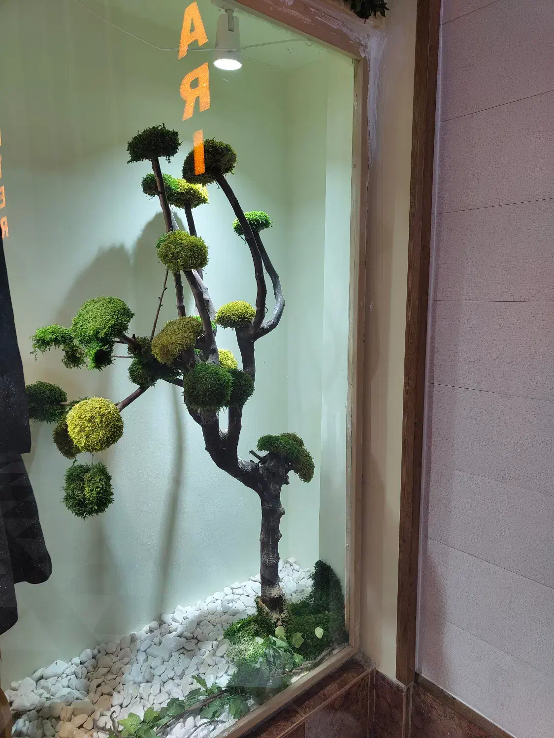 درخت خزه جاودان|گل مصنوعی|رودهن, |دیوار