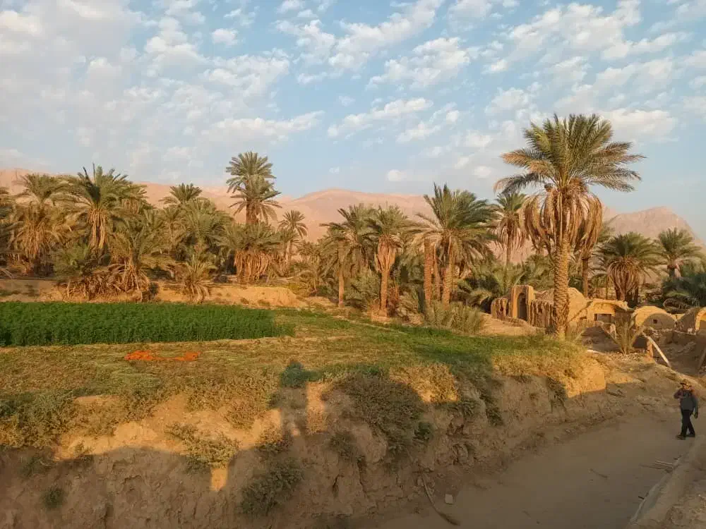 نصاب سوله و جوشکار ماهر|استخدام معماری، عمران و ساختمانی|یزد, |دیوار