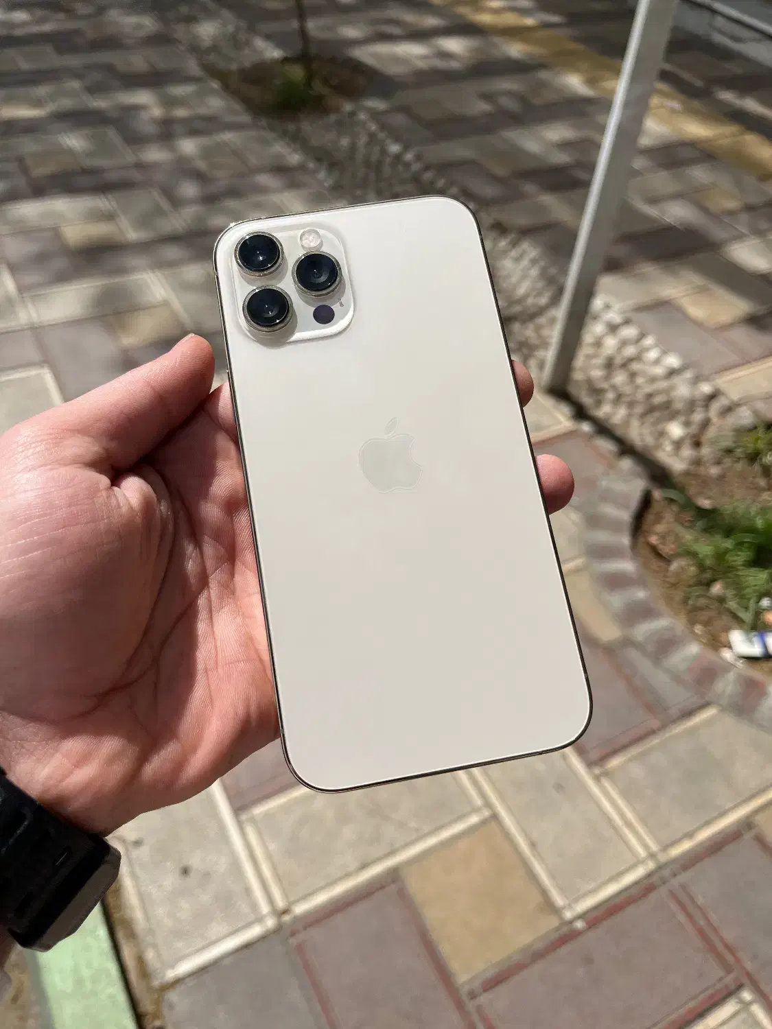 12promax|موبایل|شاهرود, |دیوار