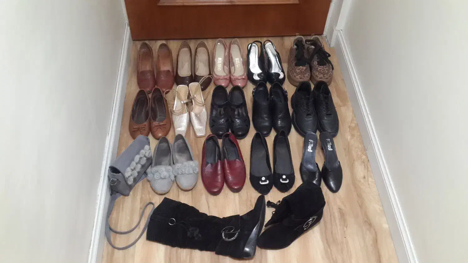 کفش زنانه|کیف، کفش، کمربند|تهران, حر|دیوار