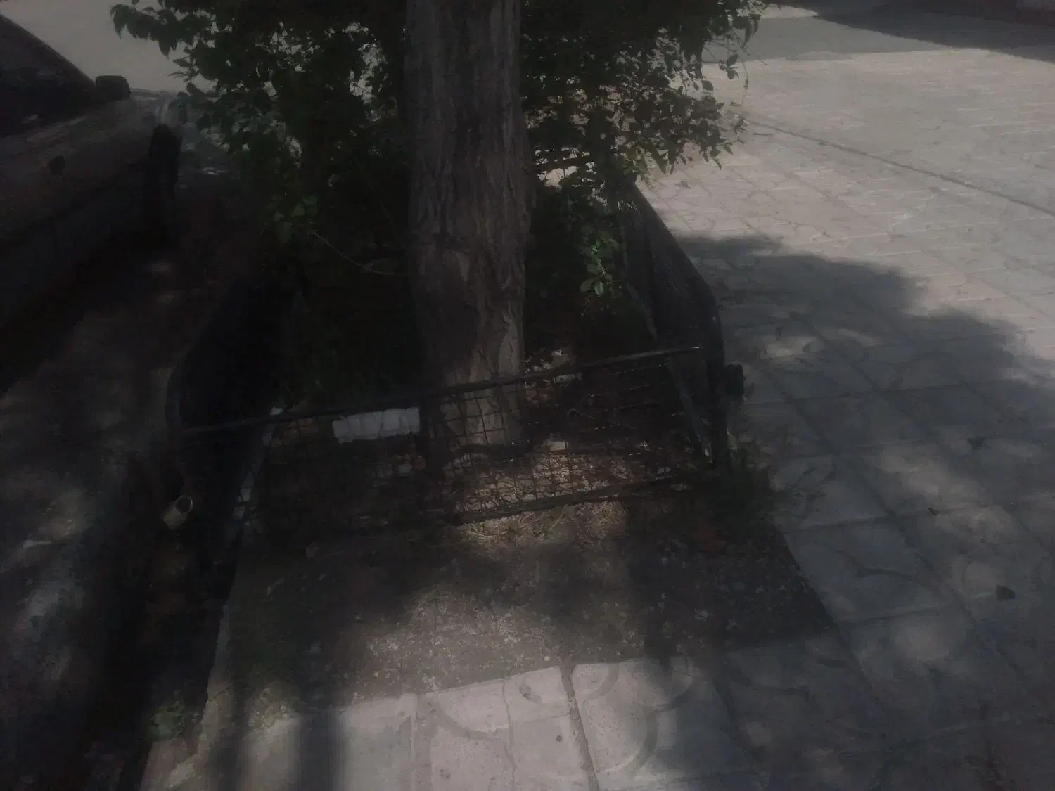 اسباب بازی|اسباب‌‌بازی|اهر, |دیوار