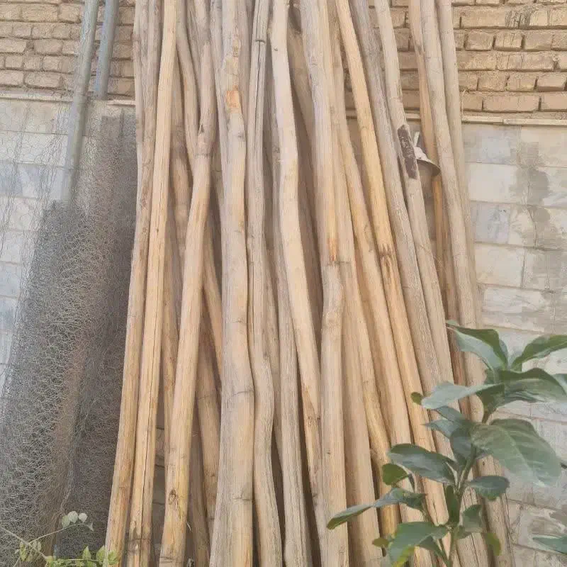 خرید چوب|خدمات باغبانی و درختکاری|سامان, |دیوار