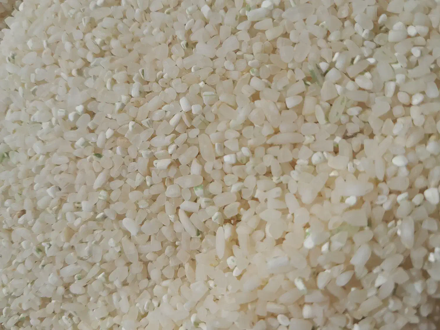 برنج و نیم دانه کامفیروزی|خوردنی و آشامیدنی|شیراز, فرگاز|دیوار
