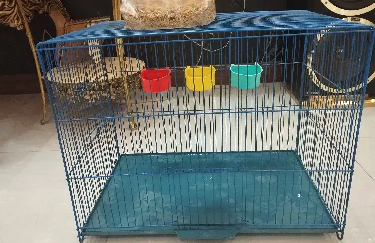 قفش پرنده|لوازم جانبی حیوانات|قرچک, شهرک الحدید|دیوار