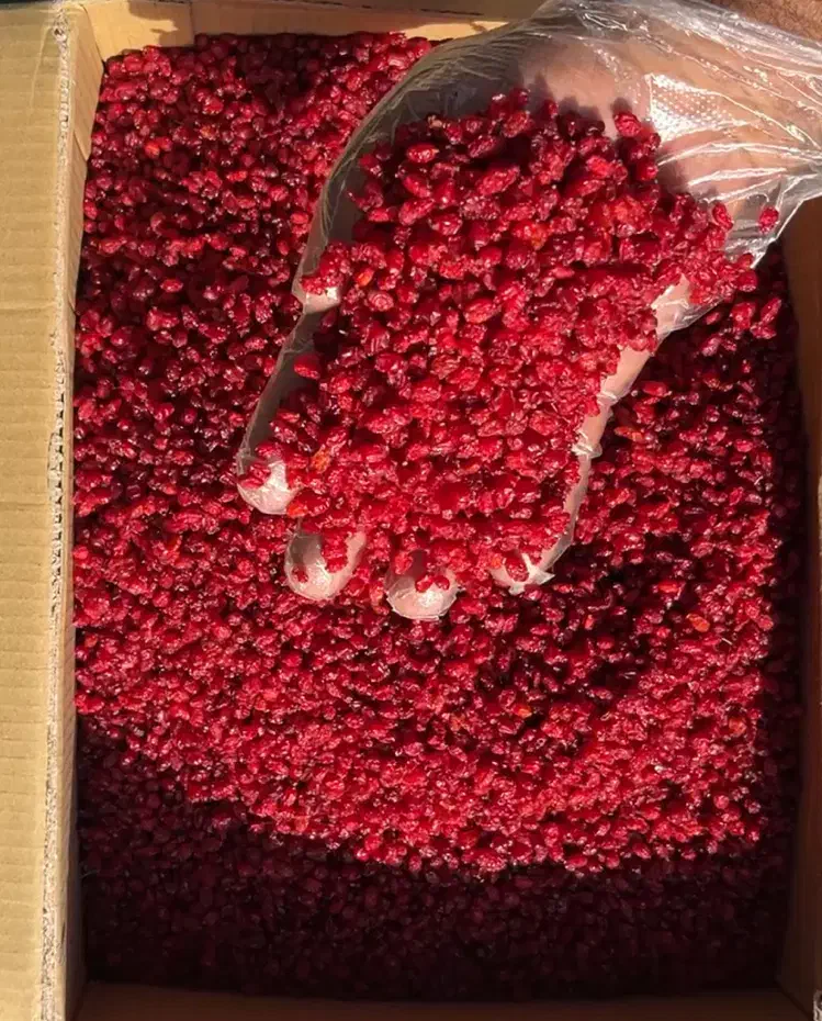 زرشک پفکی اعلا|خوردنی و آشامیدنی|تهران, انبار نفت|دیوار