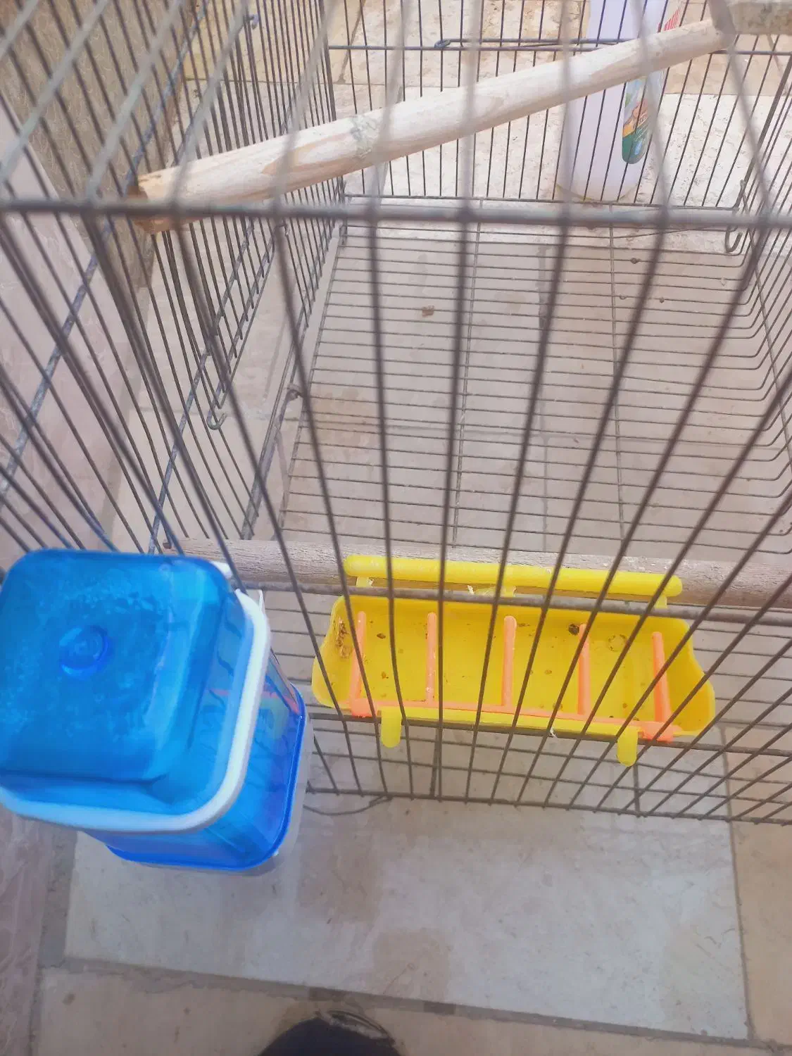 قفس|لوازم جانبی حیوانات|قم, شهرک امام حسین|دیوار